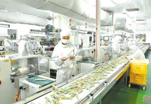 產業(yè)集聚挺起農區(qū)發(fā)展脊梁——以駐馬店為例看農產品生產的轉型與升級