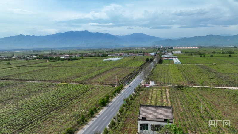 鄉路上，感受脈動中國——美麗鄉路服務提質，地標鮮果助力振興