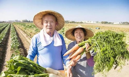 退休金4200的我，在農村嫂子家看到的另一種富足